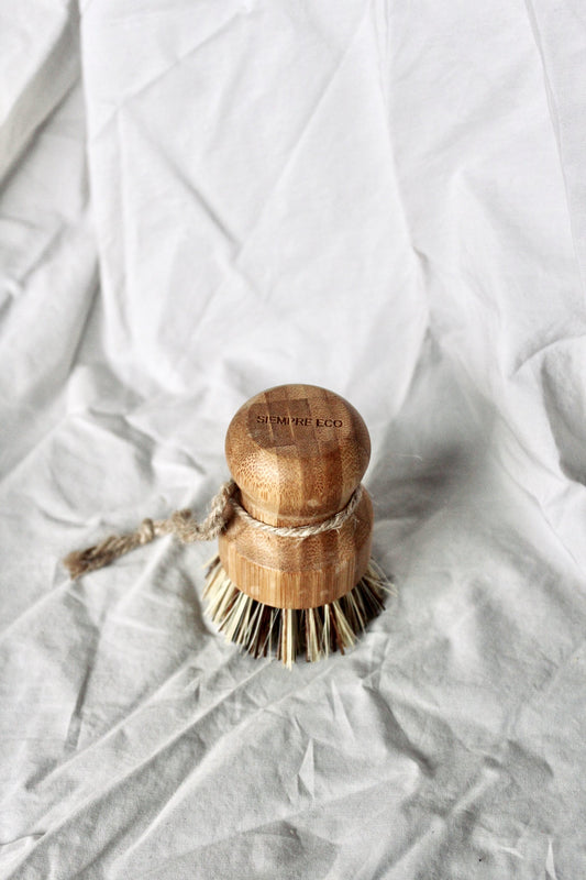 Bamboo Dish Brushes